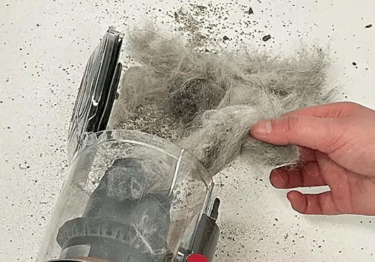 除螨仪十大文明用语排行榜最新：十大公认好用的除螨仪推荐