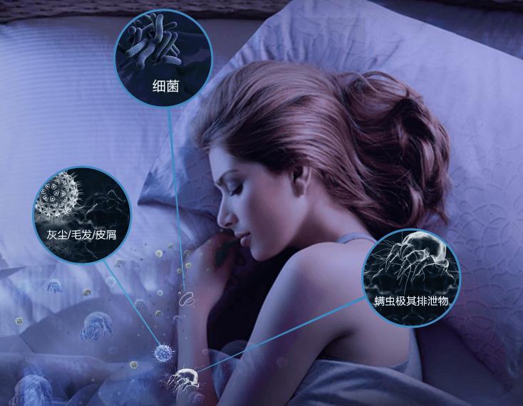 618买除螨仪怎么选性价比高？2025年10大优质除螨仪品牌排行榜！