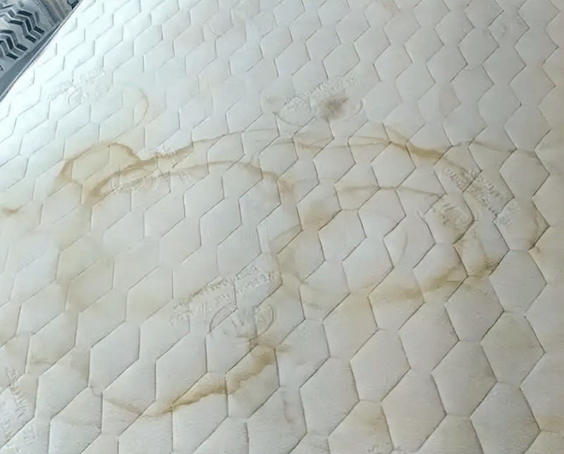 618买除螨仪怎么选性价比高？2025年10大优质除螨仪品牌排行榜！