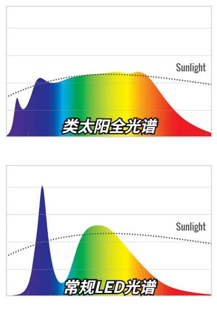 哪款护眼台灯性价比比较高?考研护眼台灯分享