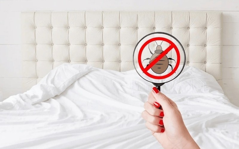 除螨仪科普指南：有线与无线如何选？附高性价比产品推荐！