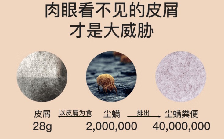有线除螨仪推荐？2025年超超详细选购指南+5款超好用的除螨仪推荐！