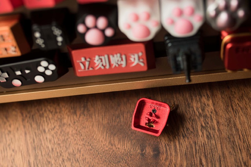 龙腾飞天步步高，TTC龙年新轴贺新年