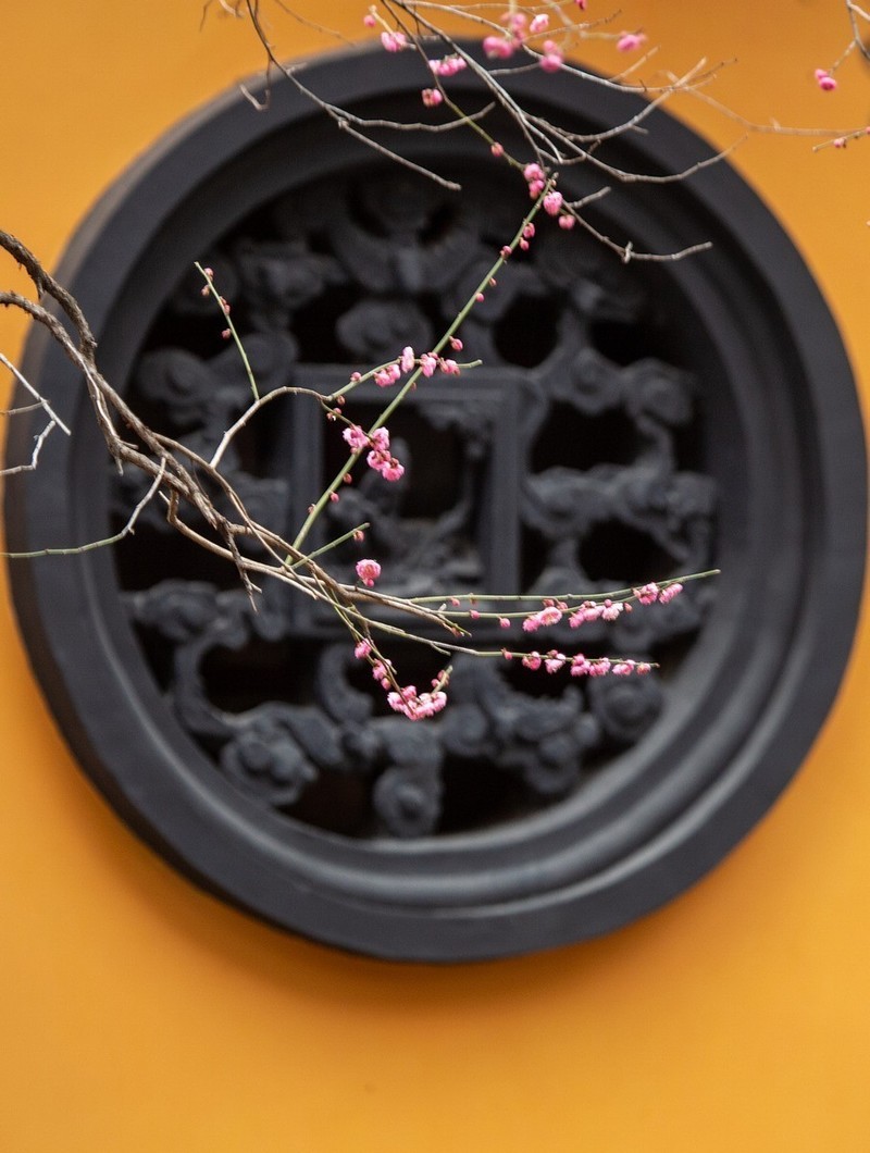 古寺 古梅 古色 古香-中关村在线摄影论坛