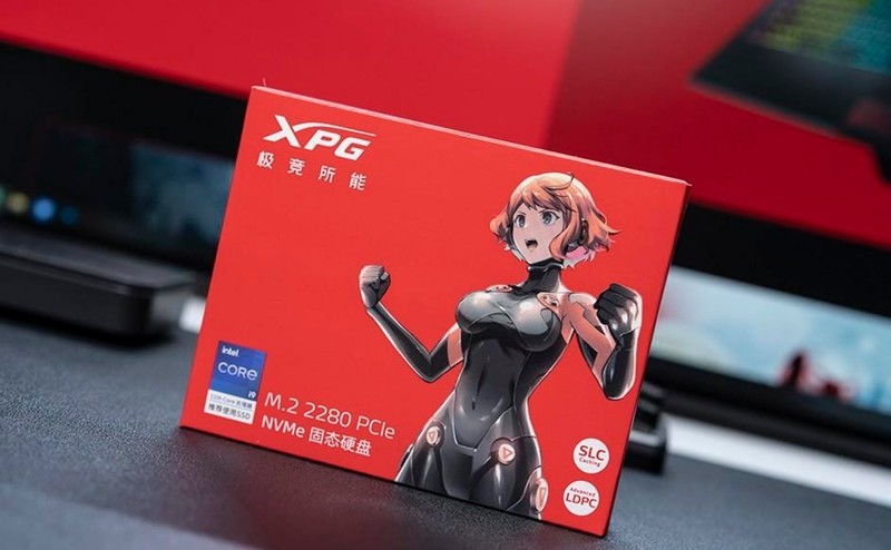 固态硬盘SSD测试集锦 篇一：十三香见证XPG GAMMIX翼龙S11表现