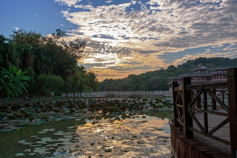 狮山公园：南宁市的小家碧玉