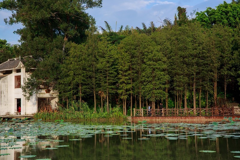 狮山公园：南宁市的小家碧玉