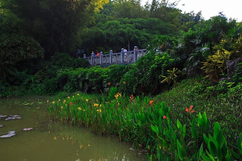 狮山公园：南宁市的小家碧玉