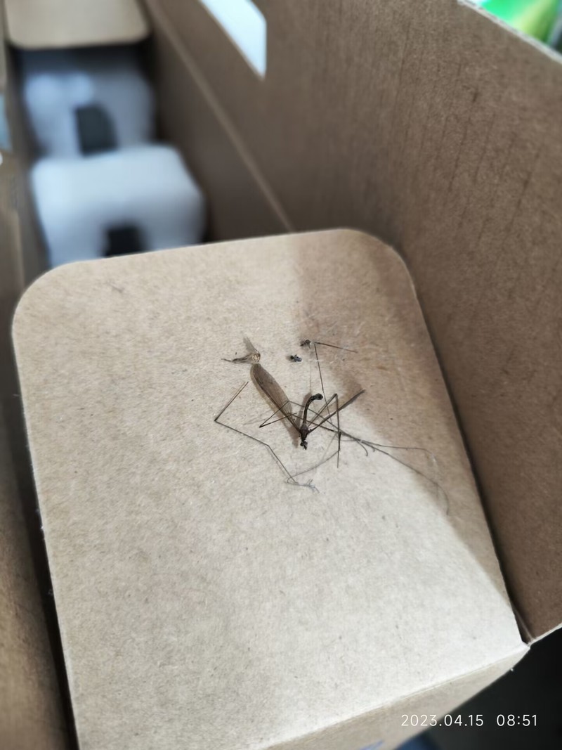 8年后再战神舟TX9R9