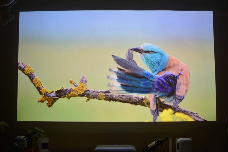 坚果智慧墙O1 Pro测评：别再担心房子小没地方摆放，23cm能投百寸