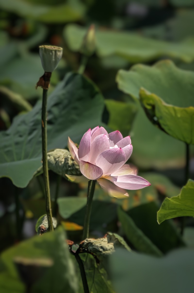 曲靖 · 麒麟水乡（2）