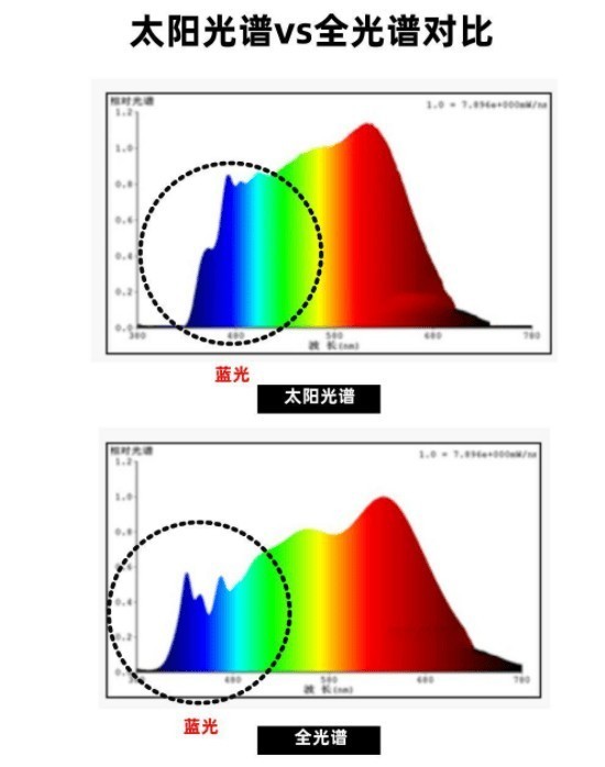 护眼落地灯哪个牌子好？高分榜前五的护眼大路灯汇总！