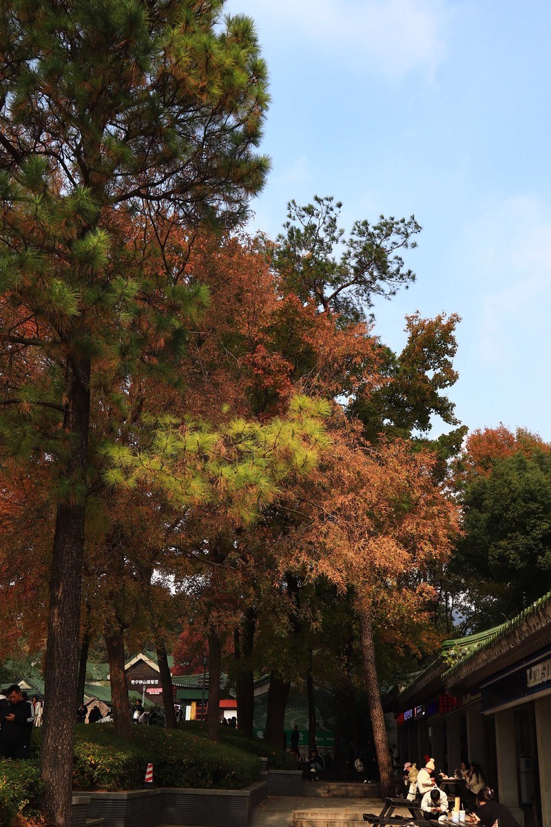 游览南京中山陵风景区
