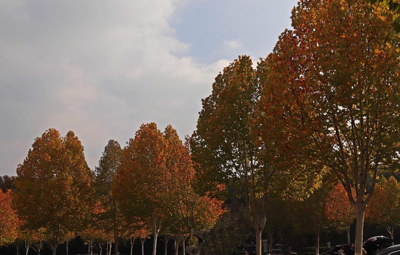 游览南京中山陵风景区