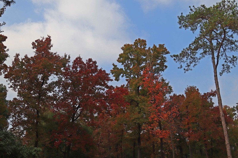 游览南京中山陵风景区