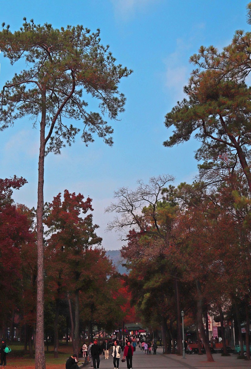 游览南京中山陵风景区