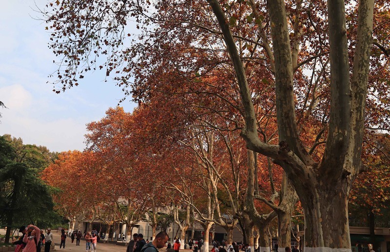 游览南京中山陵风景区