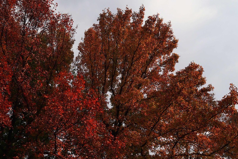 游览南京中山陵风景区