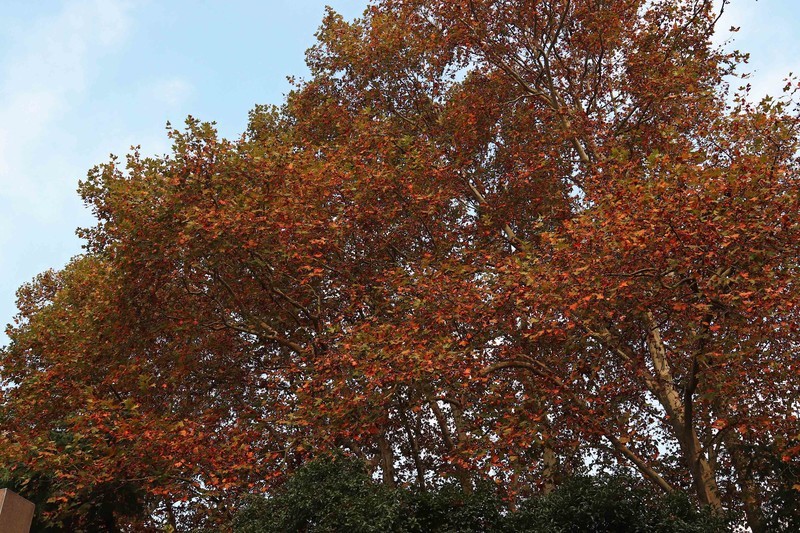 游览南京中山陵风景区