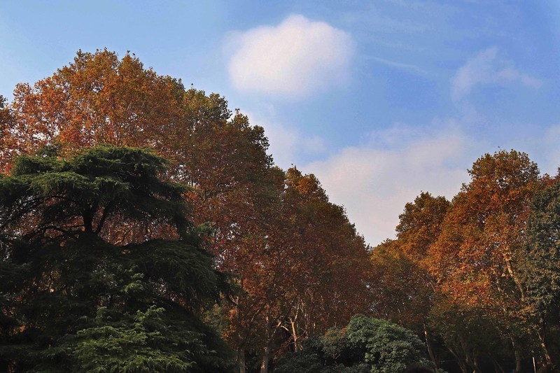 游览南京中山陵风景区
