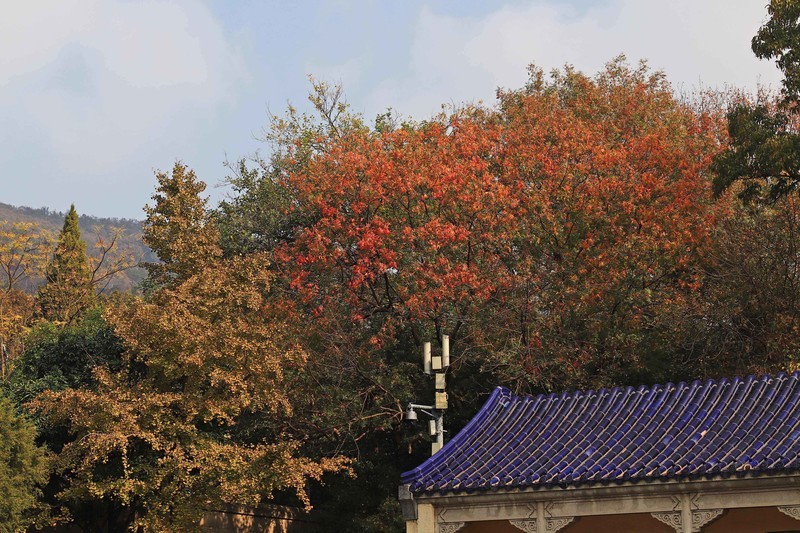 游览南京中山陵风景区