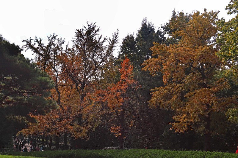 游览南京中山陵风景区