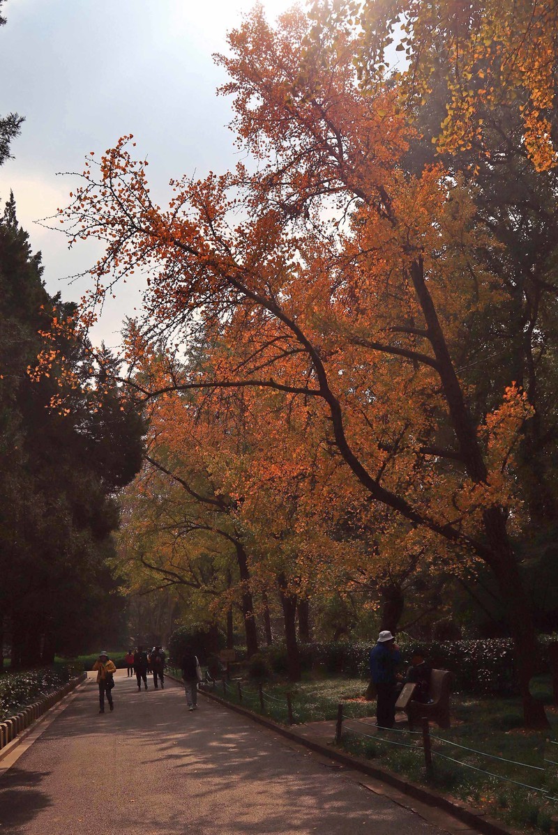 游览南京中山陵风景区