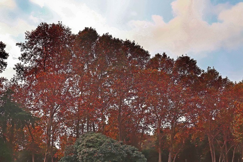 游览南京中山陵风景区