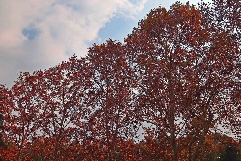 游览南京中山陵风景区