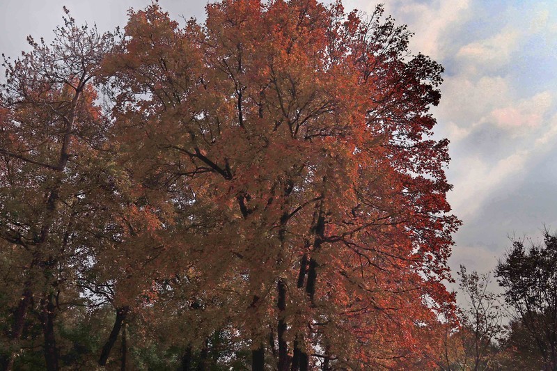 游览南京中山陵风景区