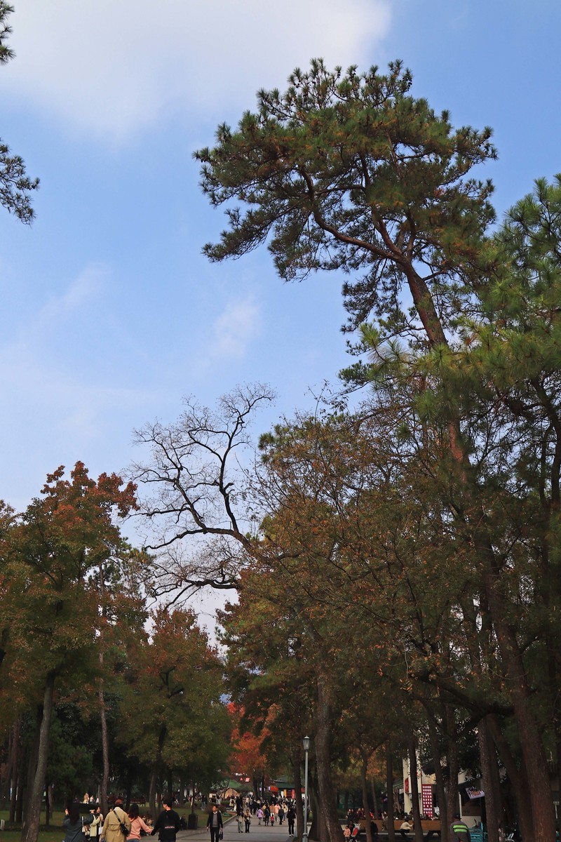 游览南京中山陵风景区
