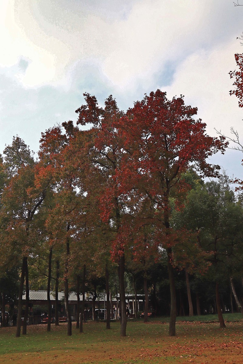 游览南京中山陵风景区