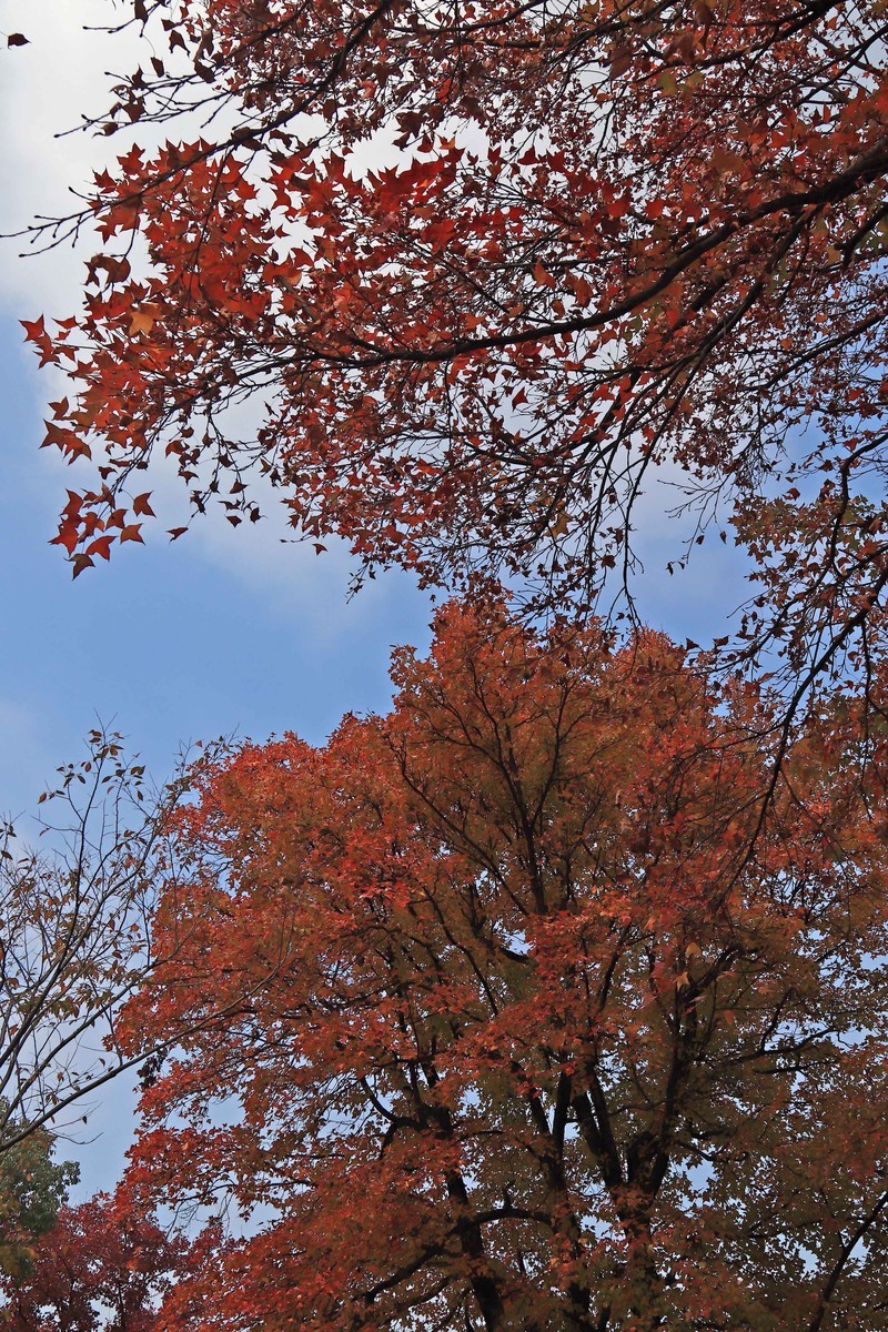 游览南京中山陵风景区
