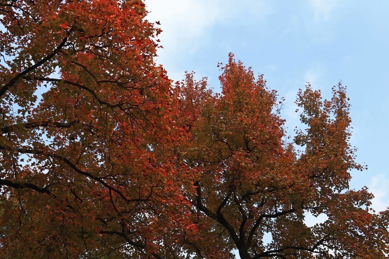 游览南京中山陵风景区