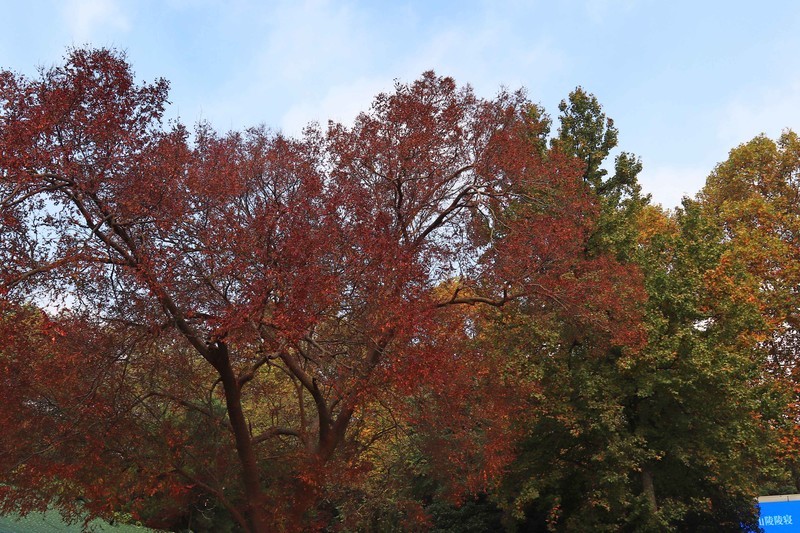 游览南京中山陵风景区