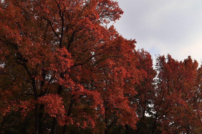 游览南京中山陵风景区