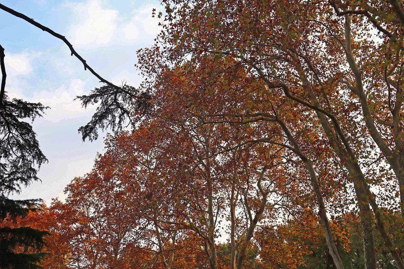 游览南京中山陵风景区