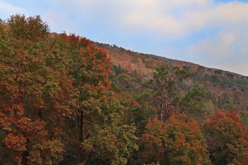 游览南京中山陵风景区