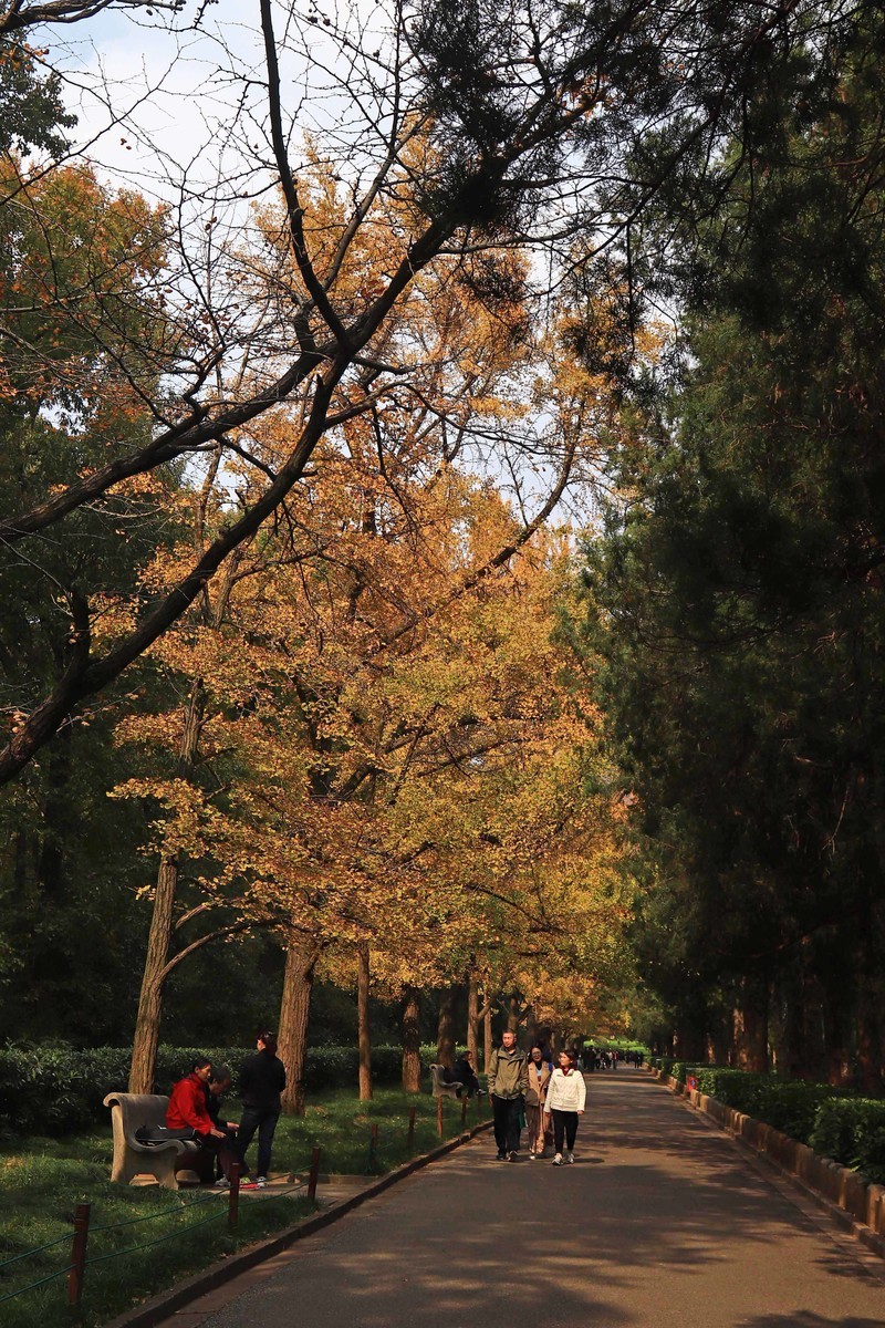 游览南京中山陵风景区