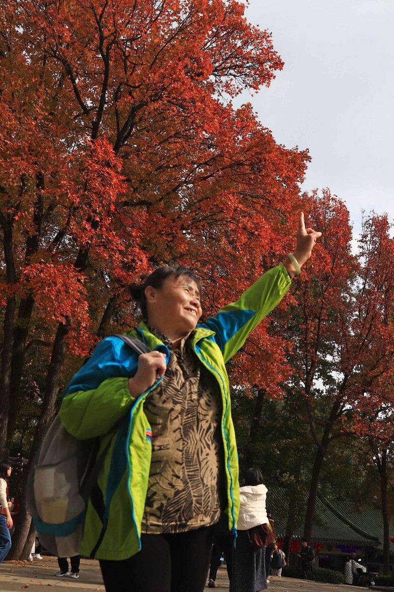 游览南京中山陵风景区
