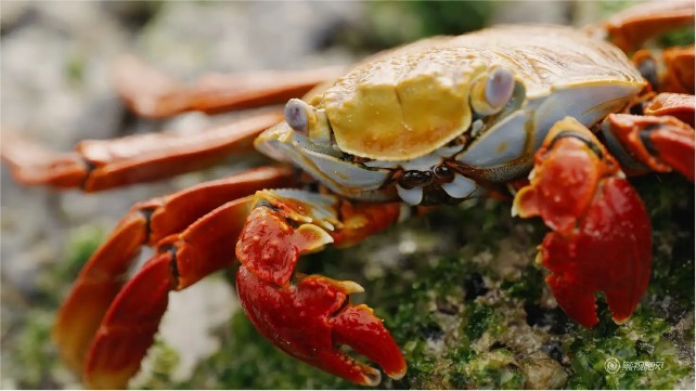 为《黑神话：悟空》入手千元电竞显示器，享受180 Hz高刷的丝滑