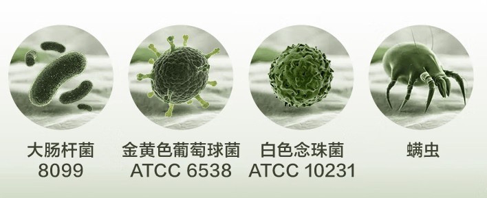 除螨仪10大品牌排行？2025年最建议选购的10款除螨仪推荐！