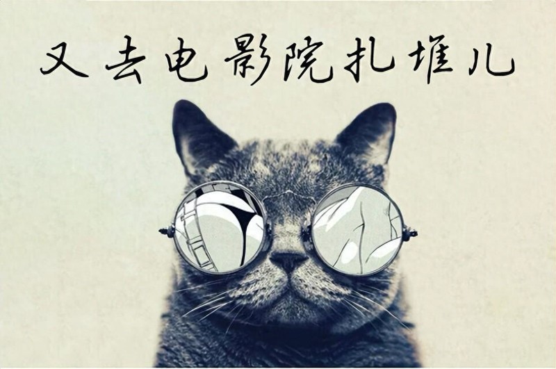 Q10K Pro开箱：家庭影院跨越式升级，没想到它才是观影的不二之选
