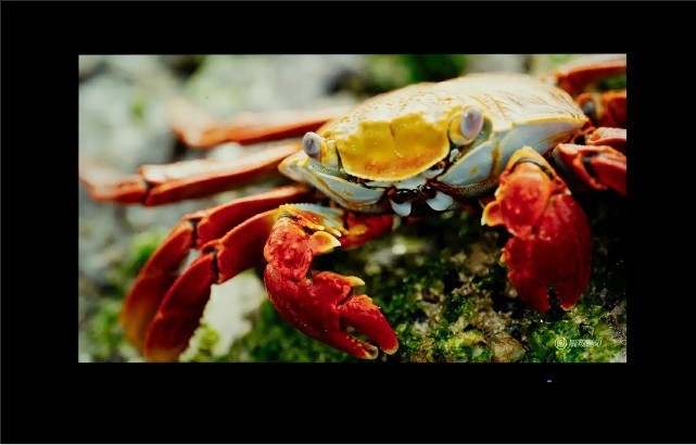 为《黑神话：悟空》入手千元电竞显示器，享受180 Hz高刷的丝滑