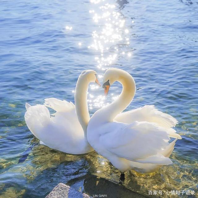 一句简短的风景句子，拍了风景照怎么发说说看这里