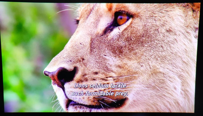 GOOVIS G3 Max：私密独享的巨幕头显，700度近视实现裸眼观影，还去什么IMAX影院？