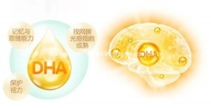 都想要聪明宝宝，这次教你彻底搞懂DHA，这样补更高效！