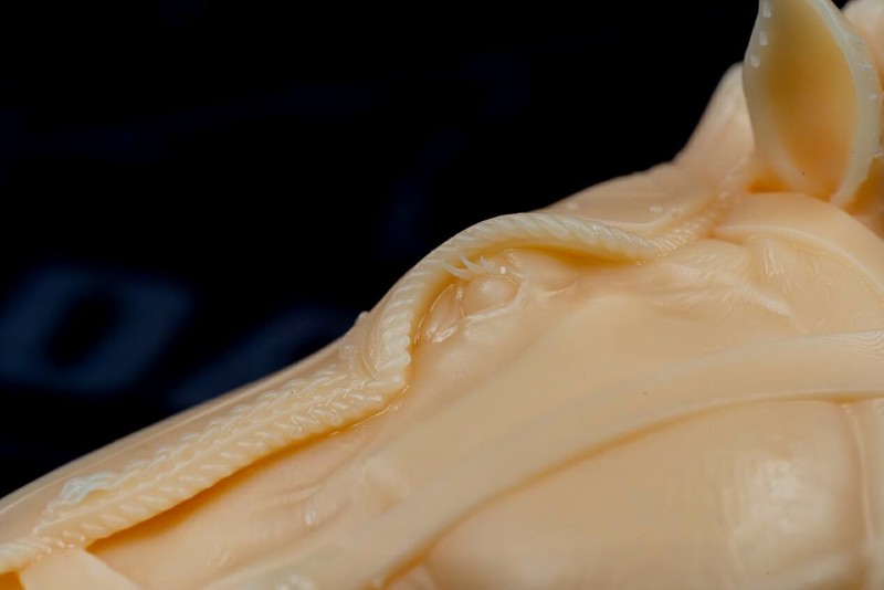 为了一套老头环雕塑连肝48小时，ELEGOO Saturn 3 光固化 3D 打印机评测