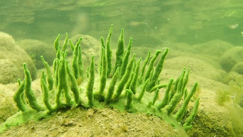 晴天生物,一家专注于做海绵微针的公司