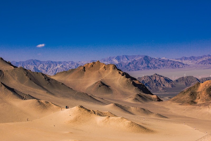 外出随拍（755）.